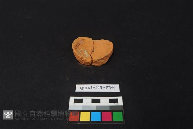 陶片藏品圖，第1張