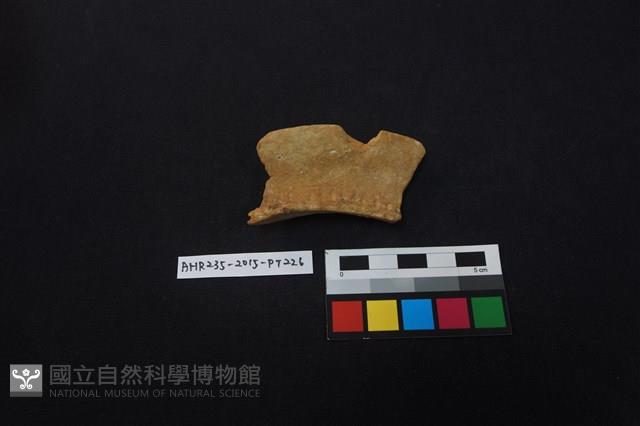 陶片藏品圖，第1張