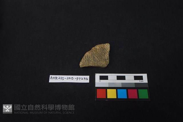 陶片藏品圖，第1張