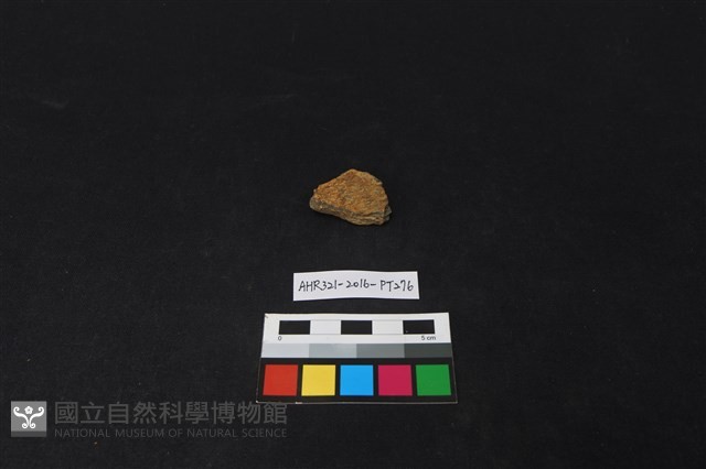 陶片藏品圖，第1張