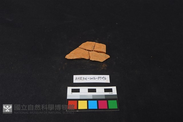 陶片藏品圖，第1張