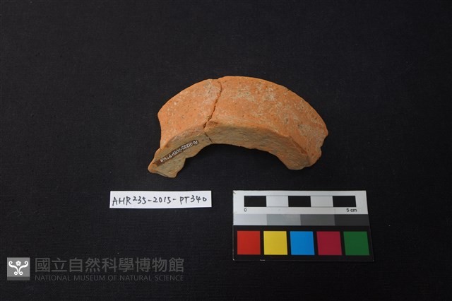 陶片藏品圖，第1張