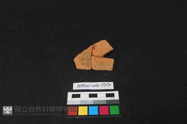 陶片藏品圖，第1張