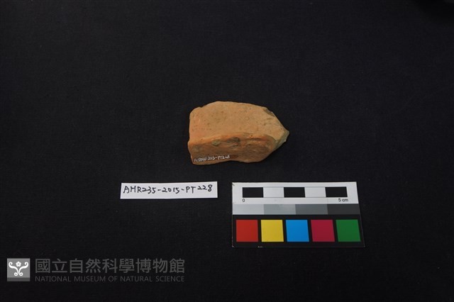 陶片藏品圖，第1張