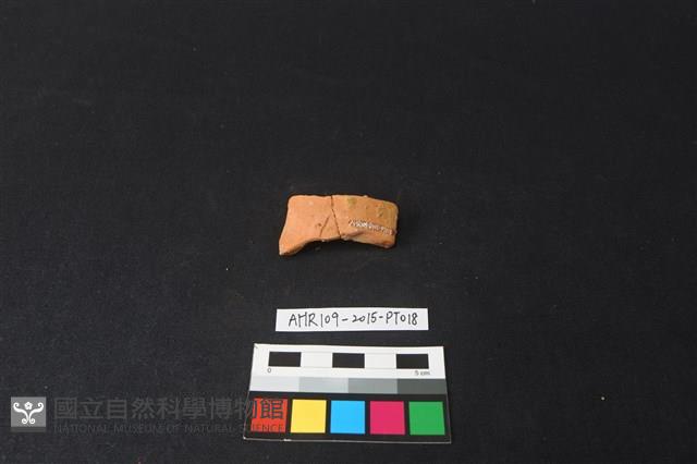 陶片藏品圖，第1張