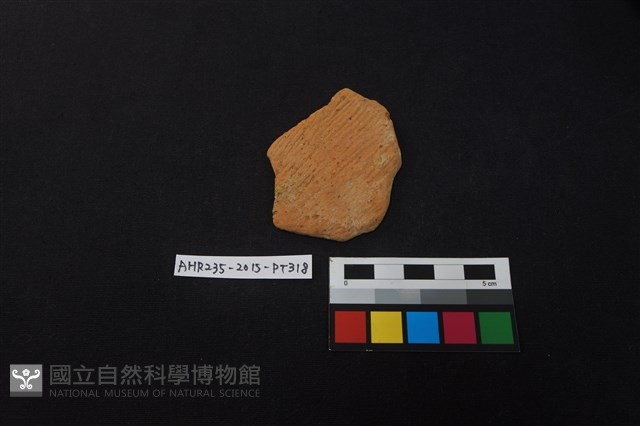 陶片藏品圖，第1張