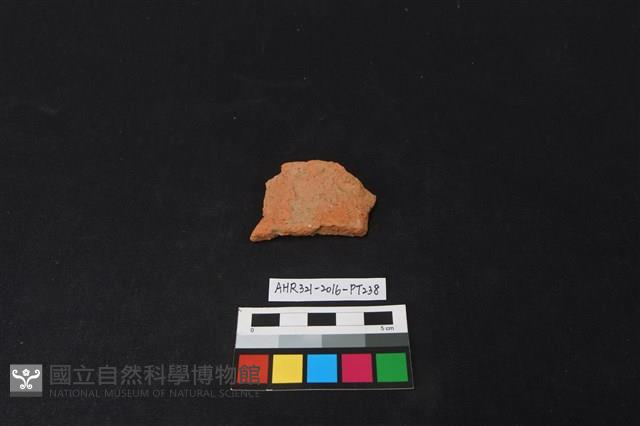 陶片藏品圖，第1張