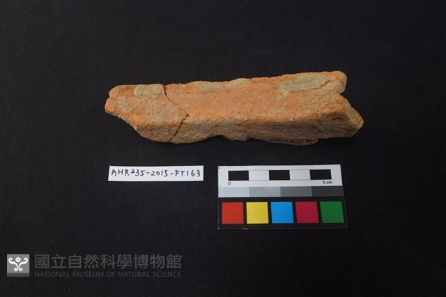 陶片藏品圖，第4張