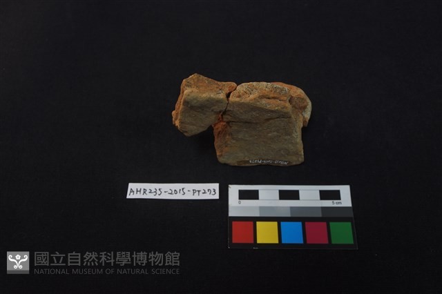 陶片藏品圖，第4張