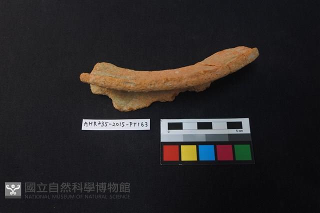 陶片藏品圖，第3張