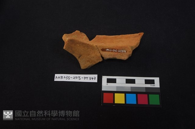 陶片藏品圖，第3張