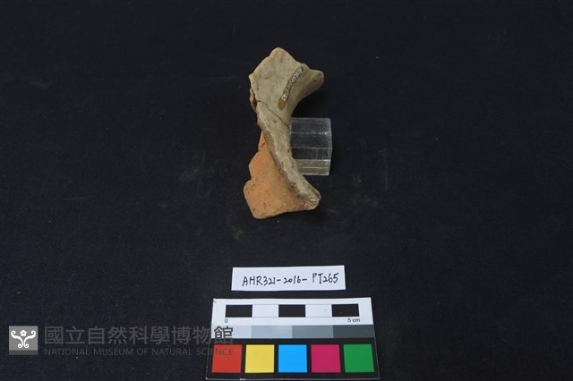 陶片藏品圖，第3張