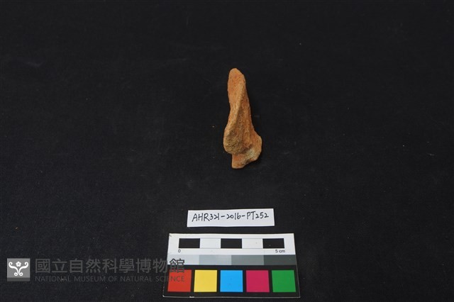 陶片藏品圖，第3張