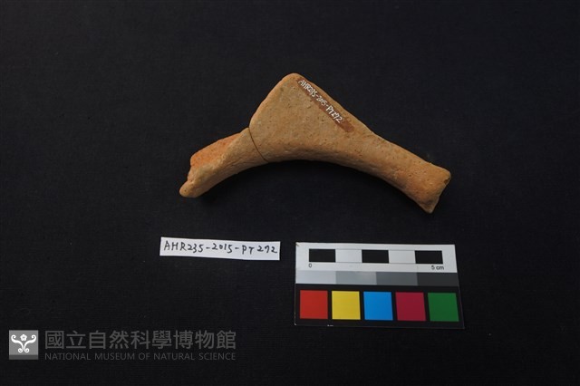 陶片藏品圖，第3張