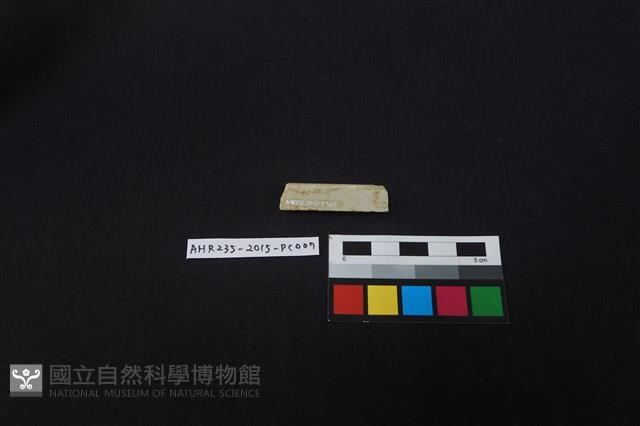 瓷片藏品圖，第3張