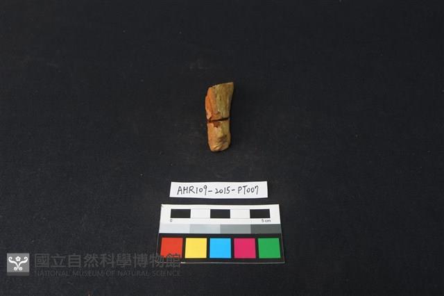 連杯形器藏品圖，第3張