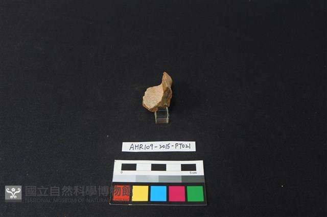 陶片藏品圖，第3張