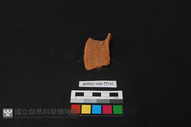 陶片藏品圖，第3張