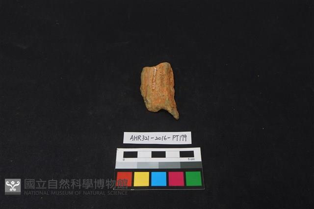 陶片藏品圖，第3張