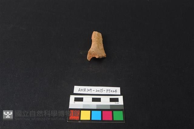 陶片藏品圖，第3張