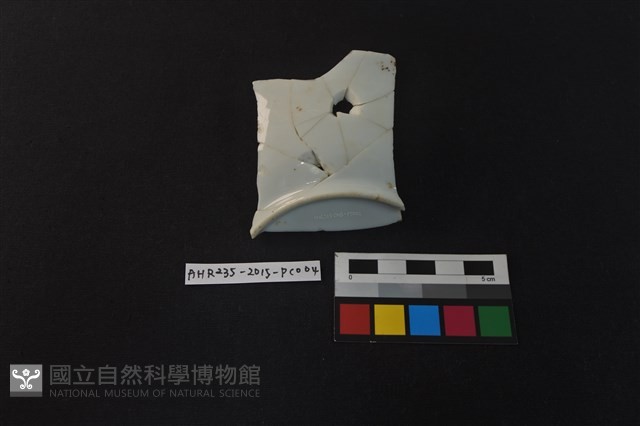 瓷片藏品圖，第3張
