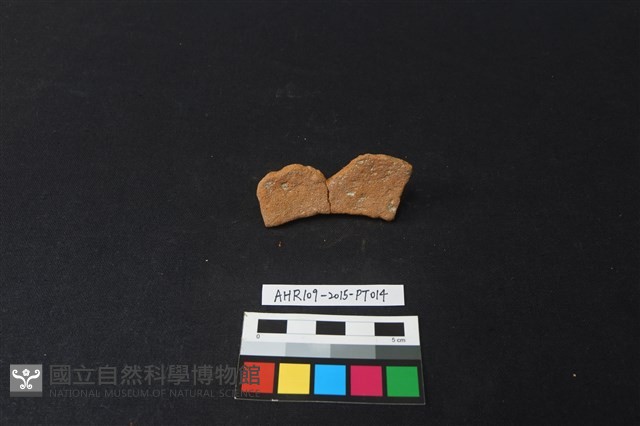 陶片藏品圖，第3張