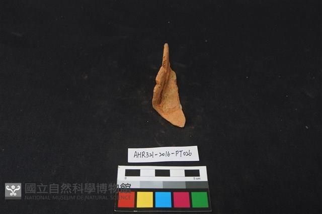 陶片藏品圖，第3張