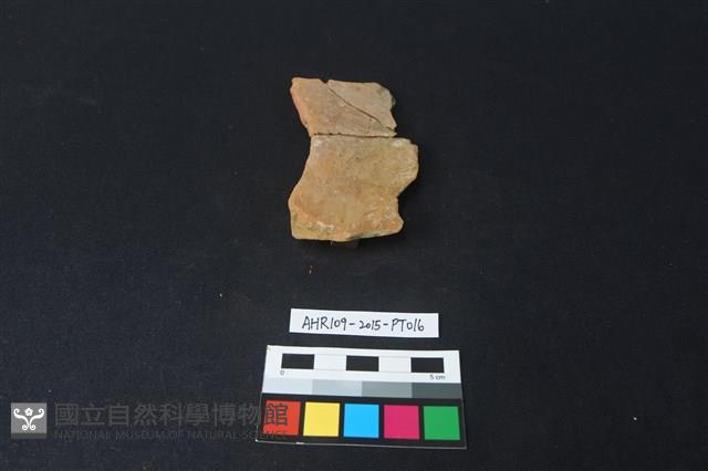 陶片藏品圖，第3張