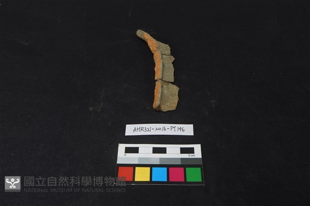 陶片藏品圖，第3張