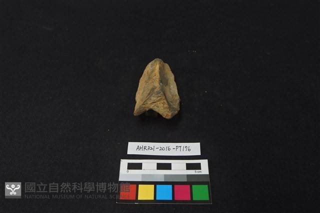 陶片藏品圖，第3張