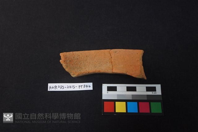 陶片藏品圖，第3張