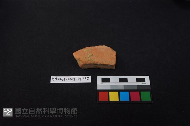 陶片藏品圖，第3張