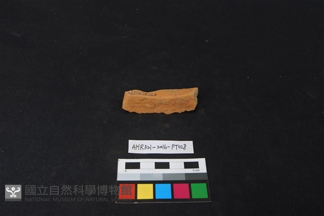 陶片藏品圖，第3張