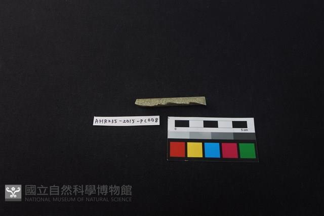 瓷片藏品圖，第3張