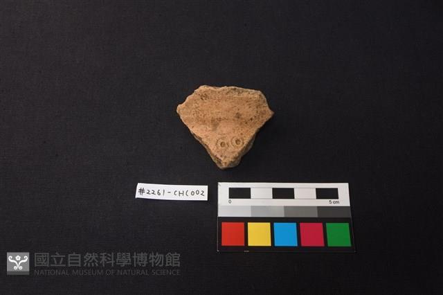 陶片藏品圖，第1張