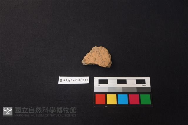 陶片藏品圖，第1張