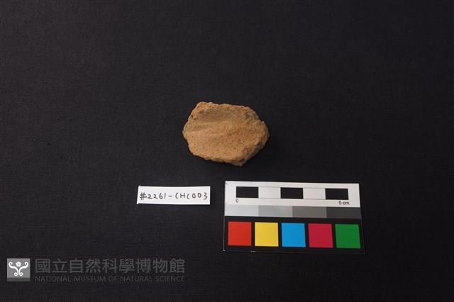 陶片藏品圖，第1張