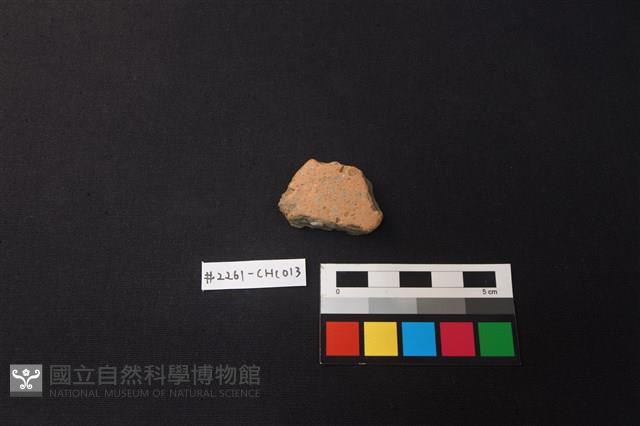 陶片藏品圖，第1張