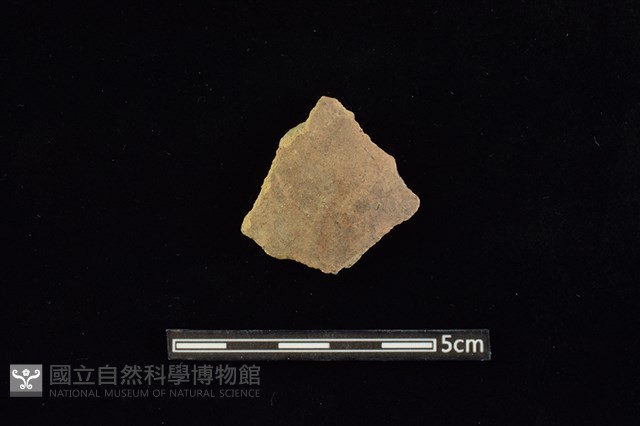 陶片藏品圖，第1張