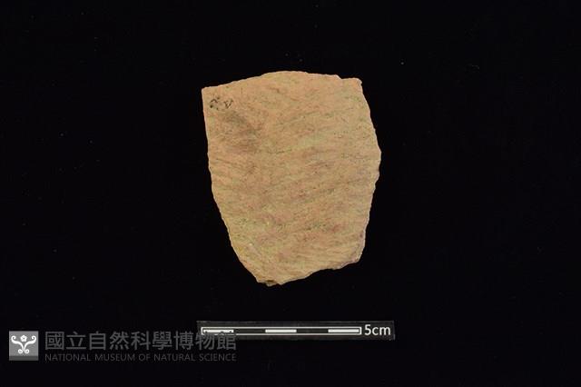 陶片藏品圖，第1張