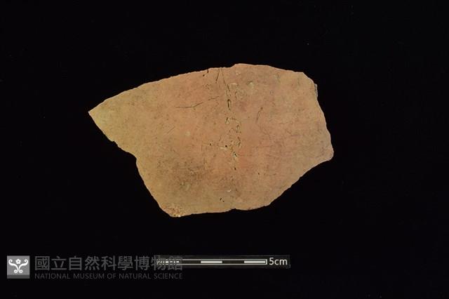 陶片藏品圖，第1張