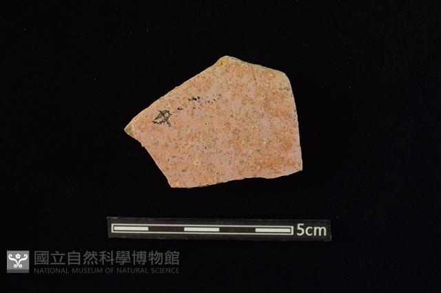 陶片藏品圖，第1張