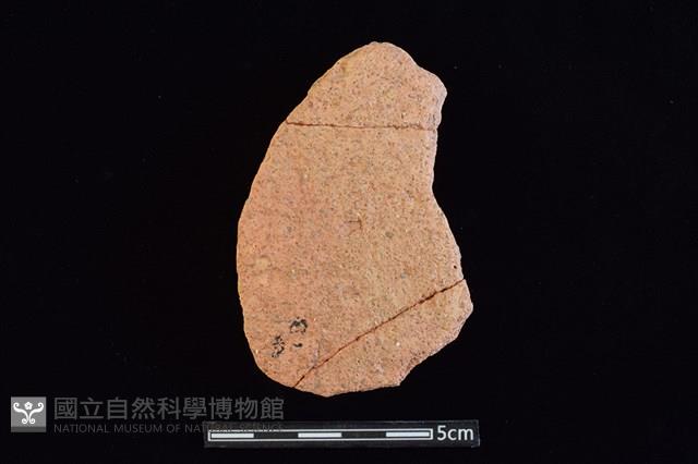 陶片藏品圖，第1張