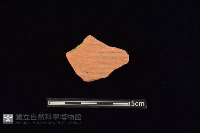 陶片藏品圖，第1張