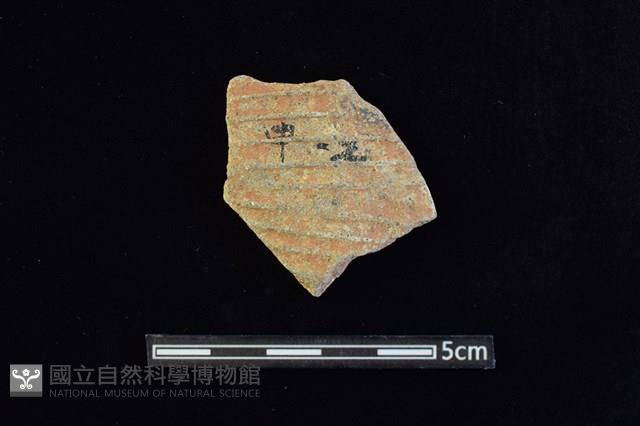 陶片藏品圖，第1張