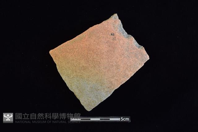 陶片藏品圖，第1張