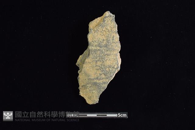 陶片藏品圖，第1張