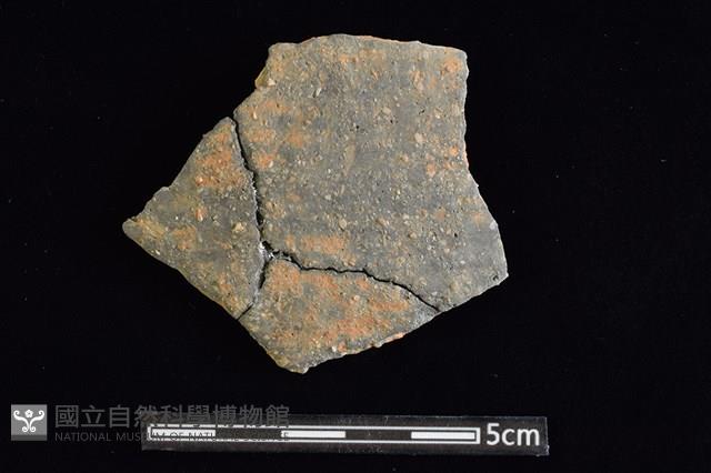 陶片藏品圖，第1張