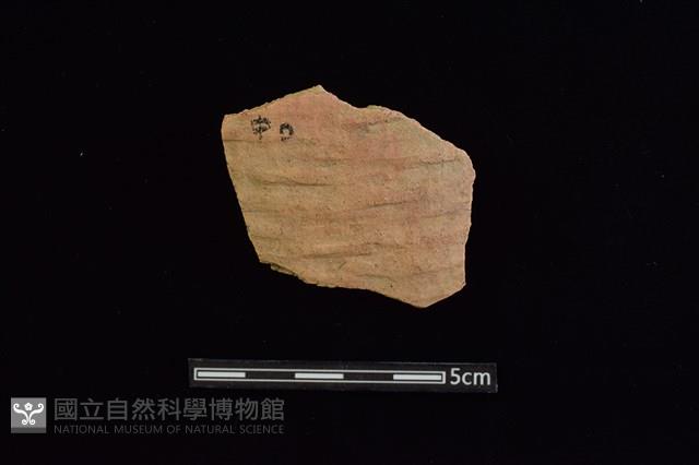 陶片藏品圖，第1張