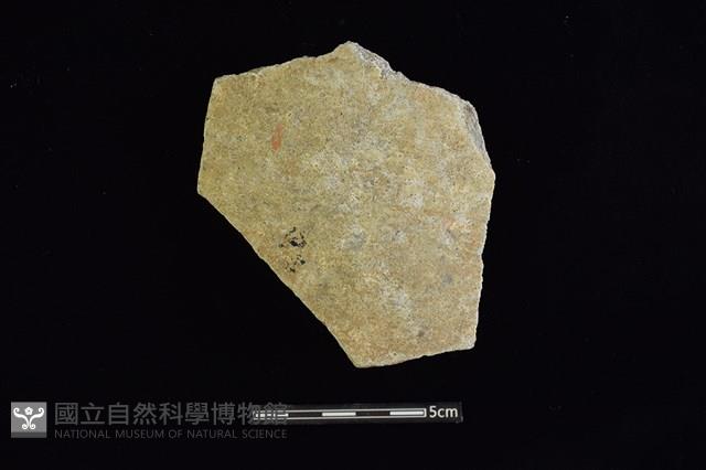 陶片藏品圖，第1張